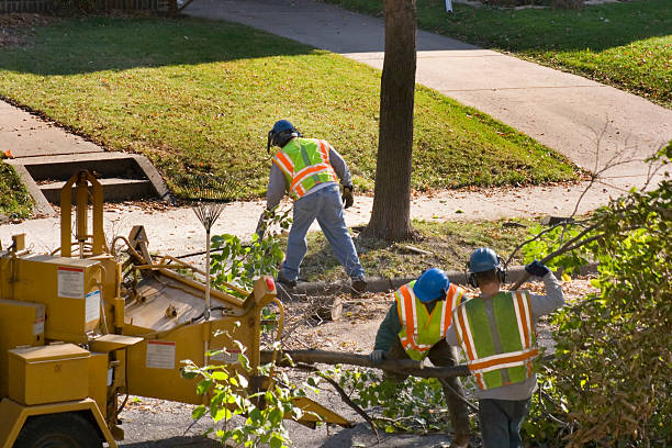 Lawn Pest Prevention in Indian Head, MD